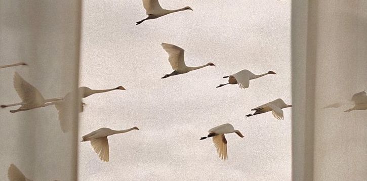 Flow Has Seasons, So Do You