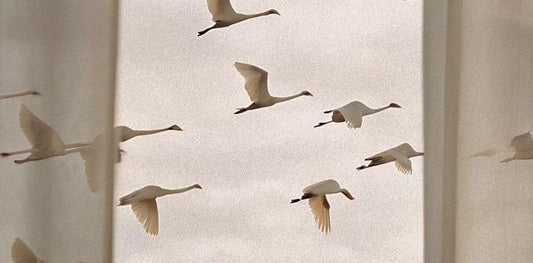 Flow Has Seasons, So Do You